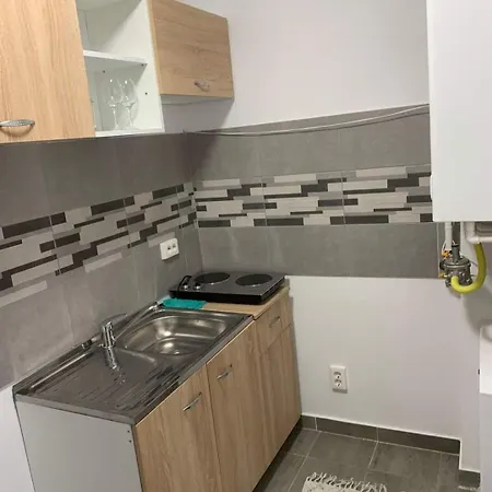 Magnolia Mari Craiova