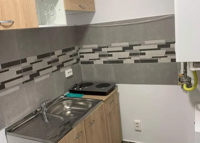 Magnolia Mari Craiova